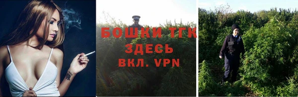 тгк Аркадак