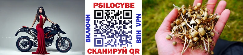 Галлюциногенные грибы Magic Shrooms  Лыткарино 